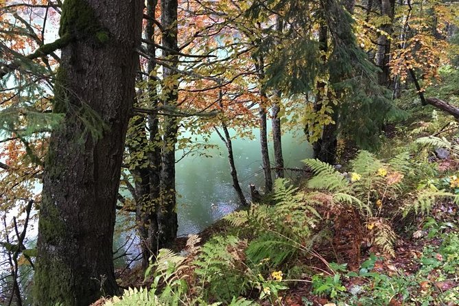 1 Day 4x4 Tour in Carpathian Mountains - Views, countryside, and places beyond the usual route