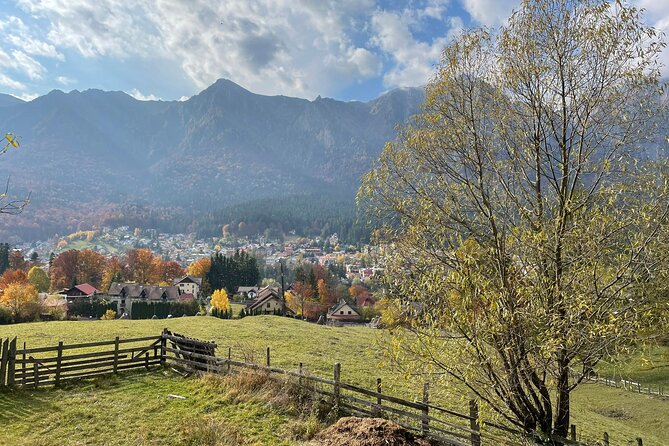 1 Day ATV Tour in Carpathian Mountains - Peles Castle and royal Romania