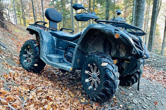 1 Day ATV Tour in Carpathian Mountains - What the $228.29 price really covers