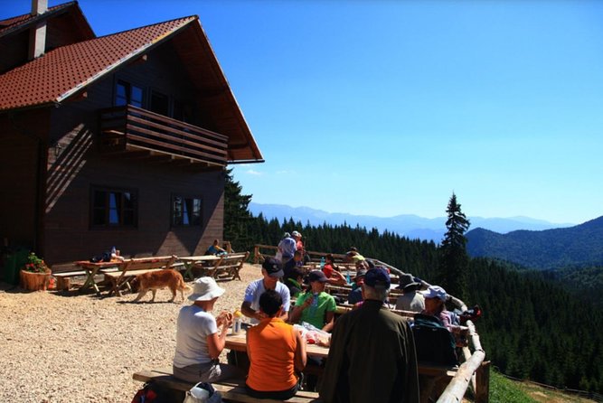 1 day CARPATHIAN PEAKS & CHALETS hike - Starting in Brașov and reaching the trail