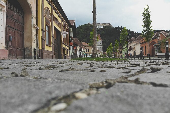 10-Day Private Tour of Romania with Pick Up - Salt, gardens, and the tall wooden church at Surdești