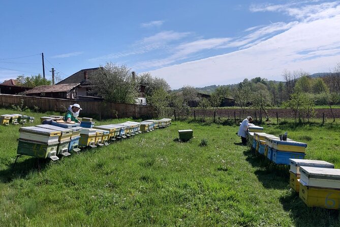10 hours Private Apiary Tour in Romania - From Bucharest - Practical details that affect your day