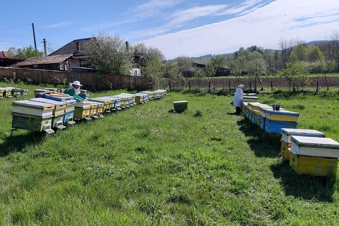 10 hours Private Apiary Tour in Romania - From Bucharest - A short visit to Curtea de Arges Monastery