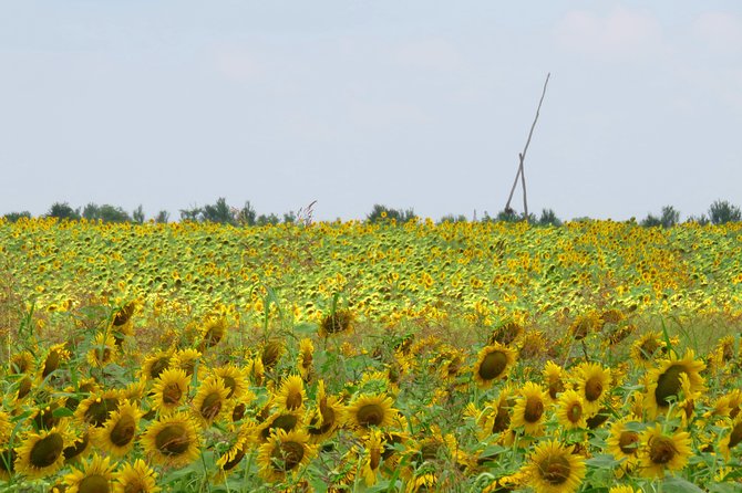 100 km by bike near Bucharest - The first miles: paved roads and small villages