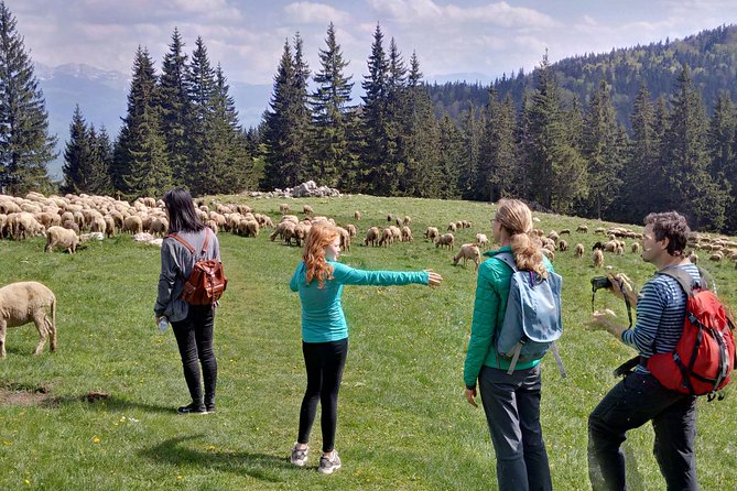 2-Day Transylvania Culture Trek from Brasov - Small Group Tour - Rasnov Fortress and its 13th-century views
