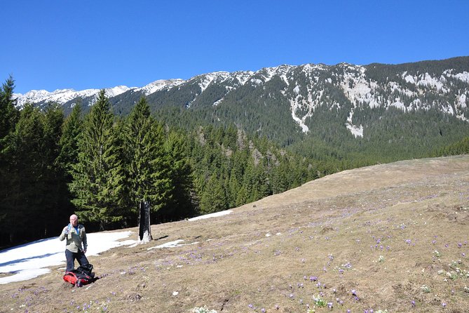 2-Day Transylvania Culture Trek from Brasov - Small Group Tour - Magura and Pestera, the rural heart of the tour