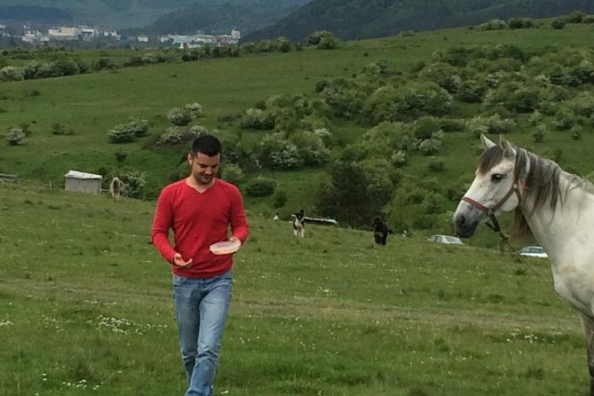 2 Days Private Tour Transfagarasan Road & Sibiu from Bucharest - Cozia Monastery adds a quieter medieval pause