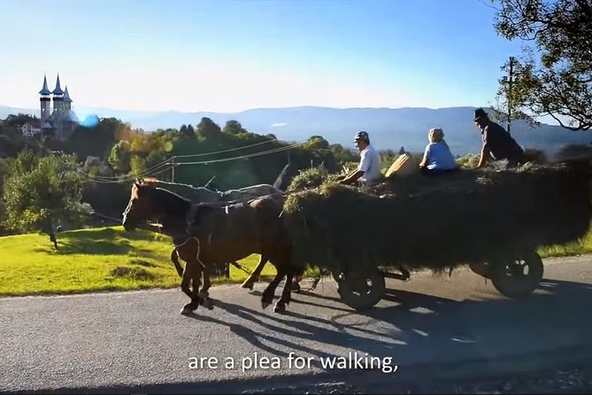 2 Days Private Tour Transfagarasan Road & Sibiu from Bucharest - Poienari Castle trades polished rooms for a hard climb