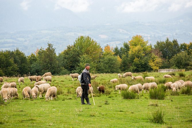 2 Days Tour in Transylvania from Bucharest - What this two-day Transylvania trip is really designed to do