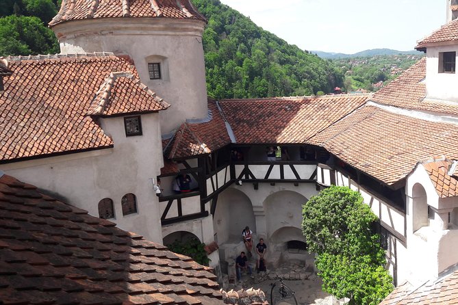 3-Castle: Peles,Bran,Rasnov,Sinaia Monastery from Brasov w pickup - What the guides add to the experience