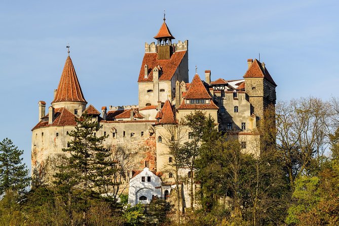 3-Day Halloween Tour in Transylvania from Cluj-Napoca - Bran Castle and the Dracula connection