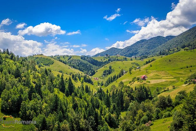 3-Day Tour from Bucharest: Transylvania Villages and Medieval Towns - Bran Castle: folklore, stone walls, and a famous name