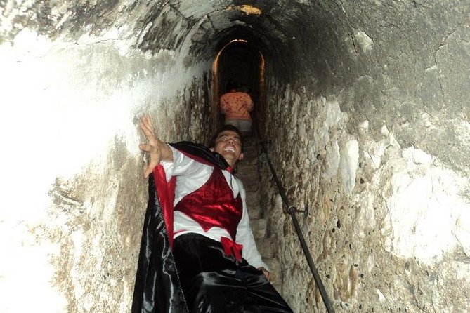 3 day Tour: Medieval Transylvania with Half Board - Accommodation, meals, and the private guide