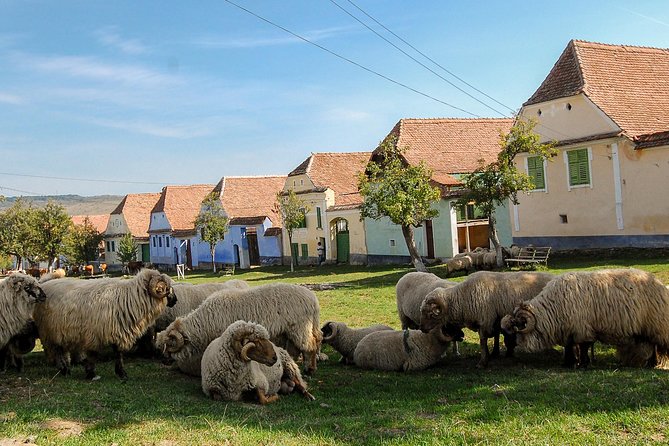 3 day Tour: Medieval Transylvania with Half Board - Day one: the Transfagarasan Highway and Sibiu