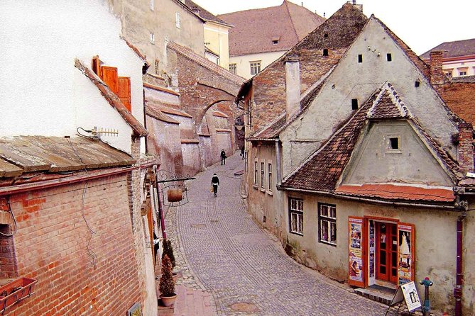 3-Day Transylvania Tour with Dracula's Castle - The driver-guide question matters