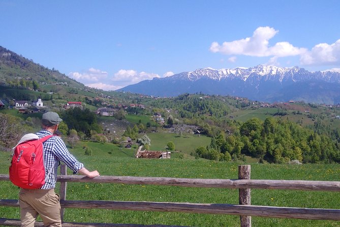 4-Day Carpathian Trek: Bucegi Mountains and Piatra Craiului National Park - A four-day route from Brasov into the Carpathians