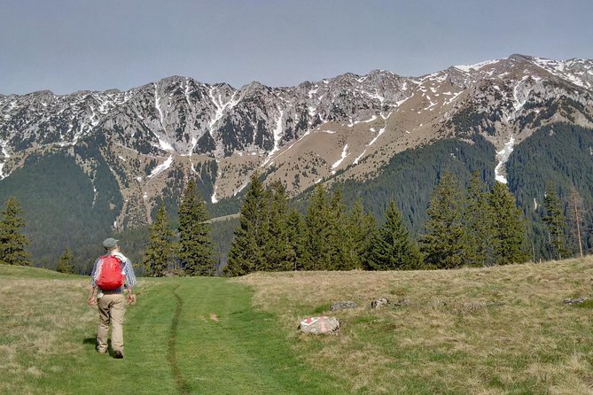4-Day Carpathian Trek: Bucegi Mountains and Piatra Craiului National Park - Days two through four: Piatra Craiului National Park