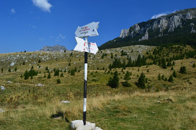 4-Day Carpathian Trek: Bucegi Mountains and Piatra Craiului National Park - What the guides add to the experience