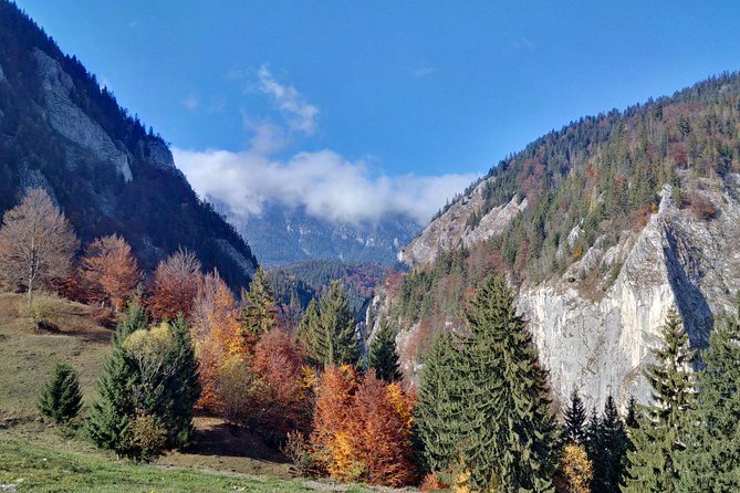 4-Day Carpathian Trek: Bucegi Mountains and Piatra Craiului National Park - Village food and three nights of lodging