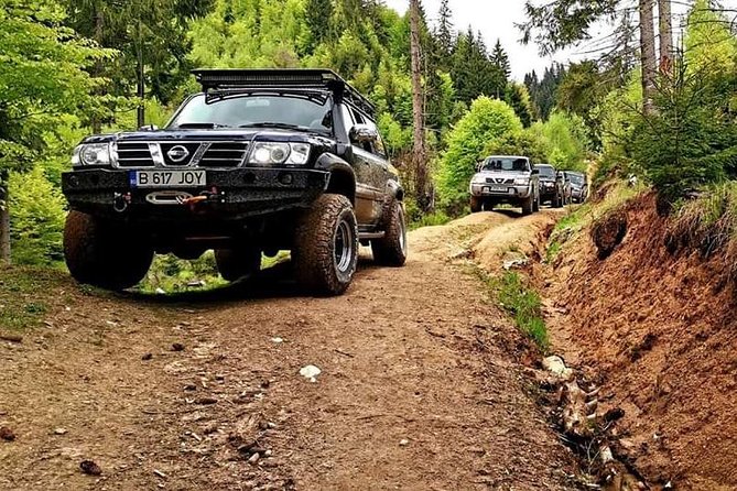 4x4 Driving Experience at Flying Altitudes - 7 Days - Day 2: Diham Cottage, Dracula’s Teeth, and Bran Castle