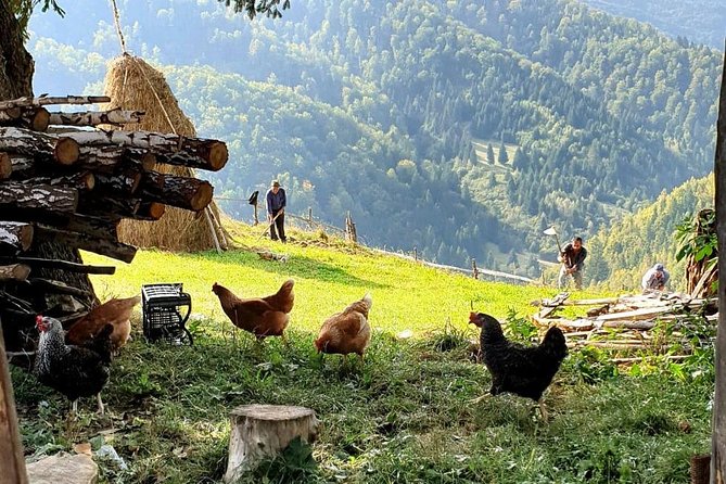 4x4 Driving Experience at Flying Altitudes - 7 Days - Day 3: Zarnesti Canyon and traditional villages