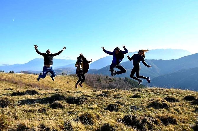 4x4 Nature Tour in Land of Dracula - 1 day - Lunch and quiet tracks around Poiana Marului