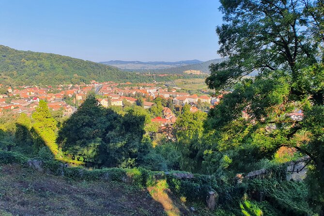 6 Days Private Tour in Romania Spectacular Places from Bucharest - Day three: Saxon heritage and Sighisoara