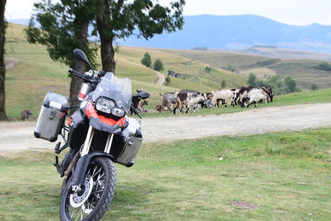 7 Day Best of Transylvania Motorcycle Tour from Cluj - Day Four: Transbucegi and the Royal Rooms at Peles