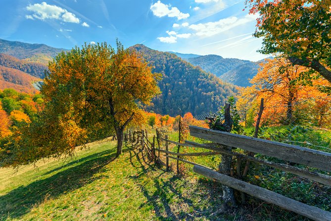 7-Days Grand Romania tour from Bucharest - Maramures woodcraft and the Merry Cemetery