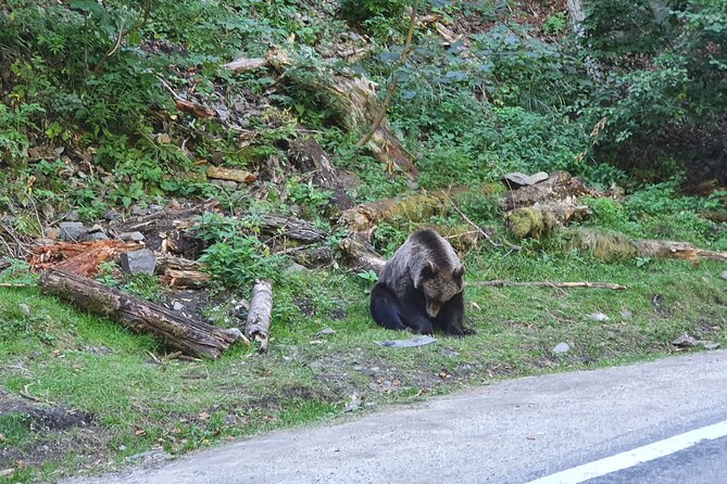 8 Days Private Tour in Romania - Transylvania, Maramures & Moldova - Merry Cemetery and the Pain of Communism