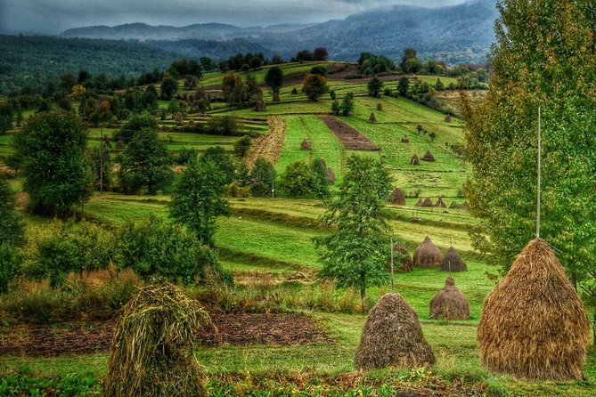 A Journey Back in Time: Countryside from Transylvania and Maramures - 15 Days - Peles Castle and two nights in Fundățica