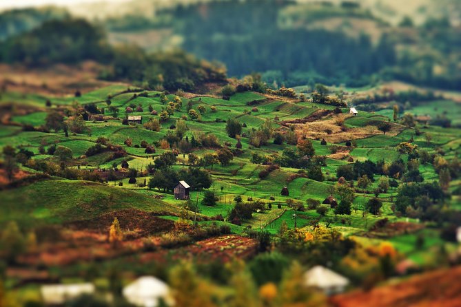 A Journey Back in Time: Countryside from Transylvania and Maramures - 15 Days - The Mocanita steam train is a full-day highlight