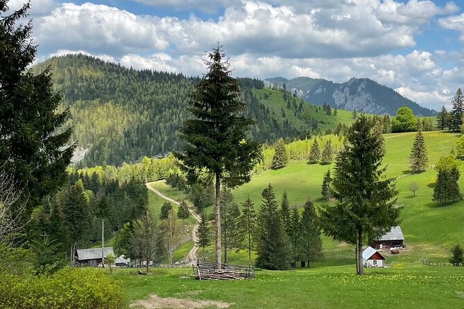 Adventure day trip from Iasi | Hiking in the Carpathian Mountains - What to bring for a comfortable day
