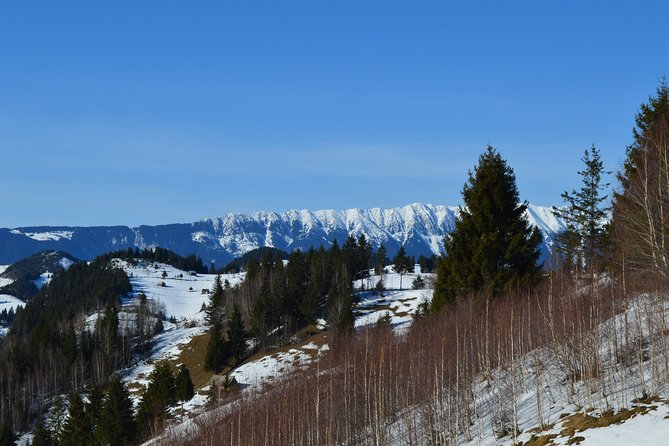 Arad to Bucharest - Private Guided Transfer - Car and Driver - Careful Driving Matters on a Full Travel Day