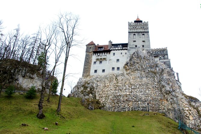 Bear Sanctuary and Bran Castle from Brasov - Why This Brasov Half-Day Trip Works