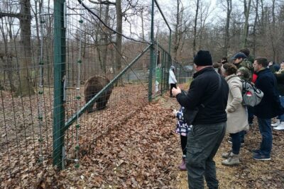 Bear Sanctuary and Bran Castle from Brasov