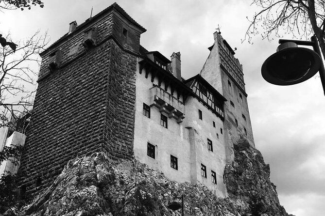 Bear Sanctuary and Bran Castle from Brasov - Alin and the Value of a Small Group