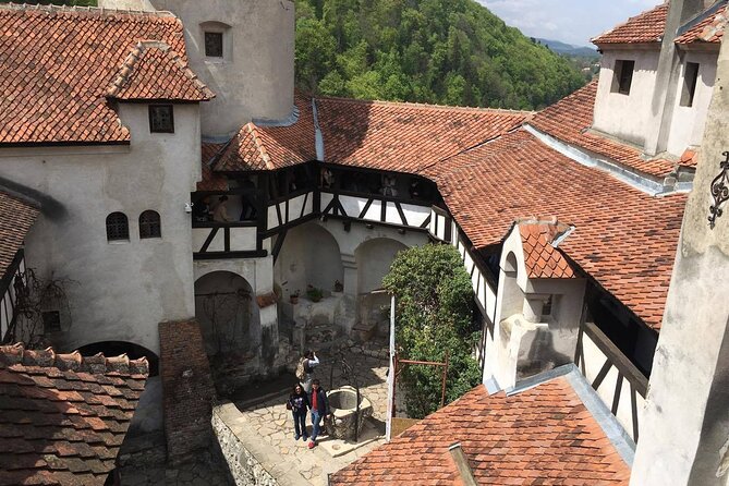 Bear Sanctuary and Bran Castle from Brasov - Is $63 Good Value?