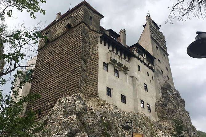 Bear Sanctuary and Bran Castle from Brasov - Who Should Book This Tour?