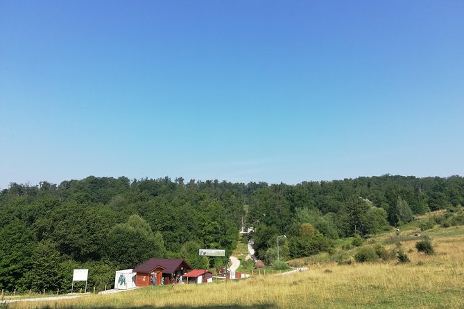 Bear Sanctuary and Dracula's Castle, 1-day Private Tour - Why this Bucharest to Transylvania day trip works