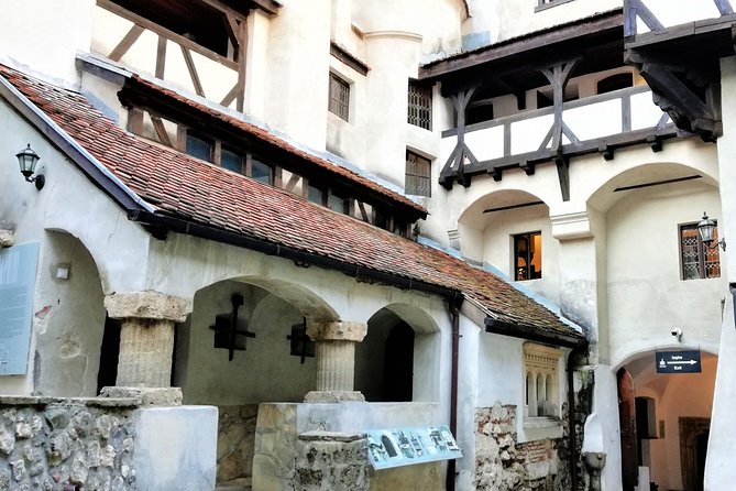 Bear Sanctuary and Dracula's Castle, 1-day Private Tour - Brasov and possible additions