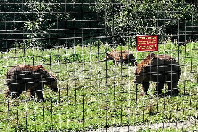 Bear Sanctuary and Dracula's Castle, 1-day Private Tour - Is $276.04 per person a fair price?
