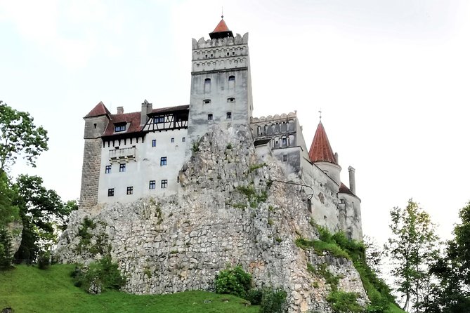 Bear Sanctuary and Dracula's Castle, 1-day Private Tour - Who should book this experience?