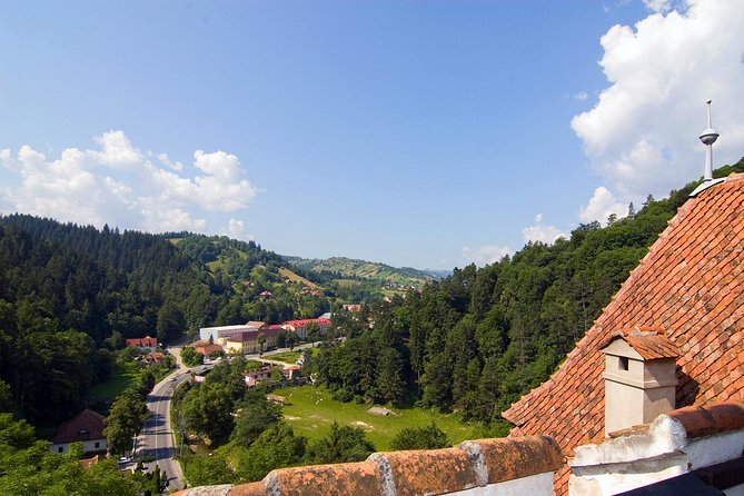 Bear Sanctuary, Bran (Dracula) Castle, Peles Castle From Brasov - Who should book this Brasov day trip?