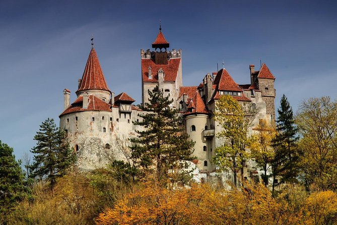 Bear Sanctuary, Bran (Dracula) Castle, Peles Castle From Brasov - Libearty Bear Sanctuary: the day’s most meaningful stop