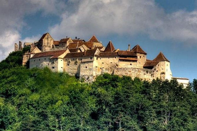 Bear Sanctuary & Rasnov Fortress - Private day tour from Bucharest - Who should book this Bucharest day tour?