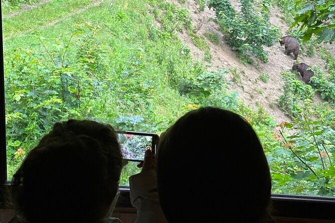 Bear Watching In Brasov: Observe Wild Bears From A Hideout (100%) - From central Brasov to the forest hideout