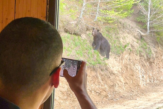 Bear Watching In Brasov: Observe Wild Bears From A Hideout (100%) - A guide, a ranger, and a small group