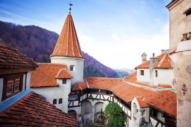 Bears Sanctuary, Dracula Castle and Poiana Brasov-Private day tour from Brasov - Why This Combination Works From Brasov