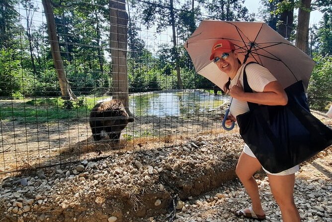 Bears Sanctuary, Dracula Castle and Poiana Brasov-Private day tour from Brasov - What the Private Vehicle Adds